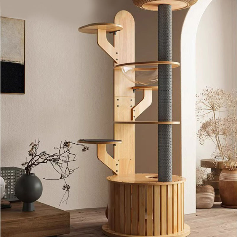 Kaktus oblik drveta penjački okvir Čvrsto stablo mačke s svemirskom kapsulom Kaktus oblik drveta penjački okvir Čvrsto stablo mačke s svemirskom kapsulom