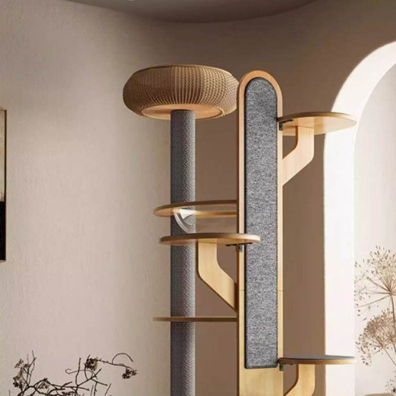 Kaktus oblik drveta penjački okvir Čvrsto stablo mačke s svemirskom kapsulom Kaktus oblik drveta penjački okvir Čvrsto stablo mačke s svemirskom kapsulom