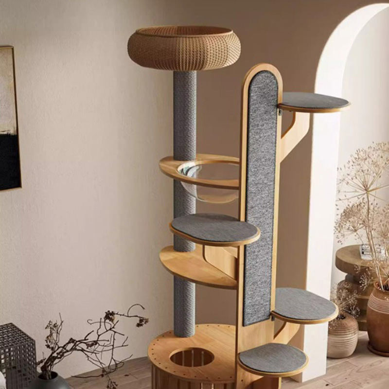 Kaktus oblik drveta penjački okvir Čvrsto stablo mačke s svemirskom kapsulom Kaktus oblik drveta penjački okvir Čvrsto stablo mačke s svemirskom kapsulom