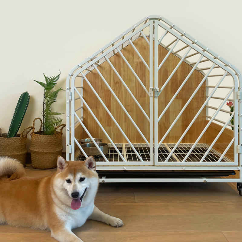 Veliki drveni čelični zatvoreni kavez za pse Veliki drveni čelični zatvoreni kavez za pse