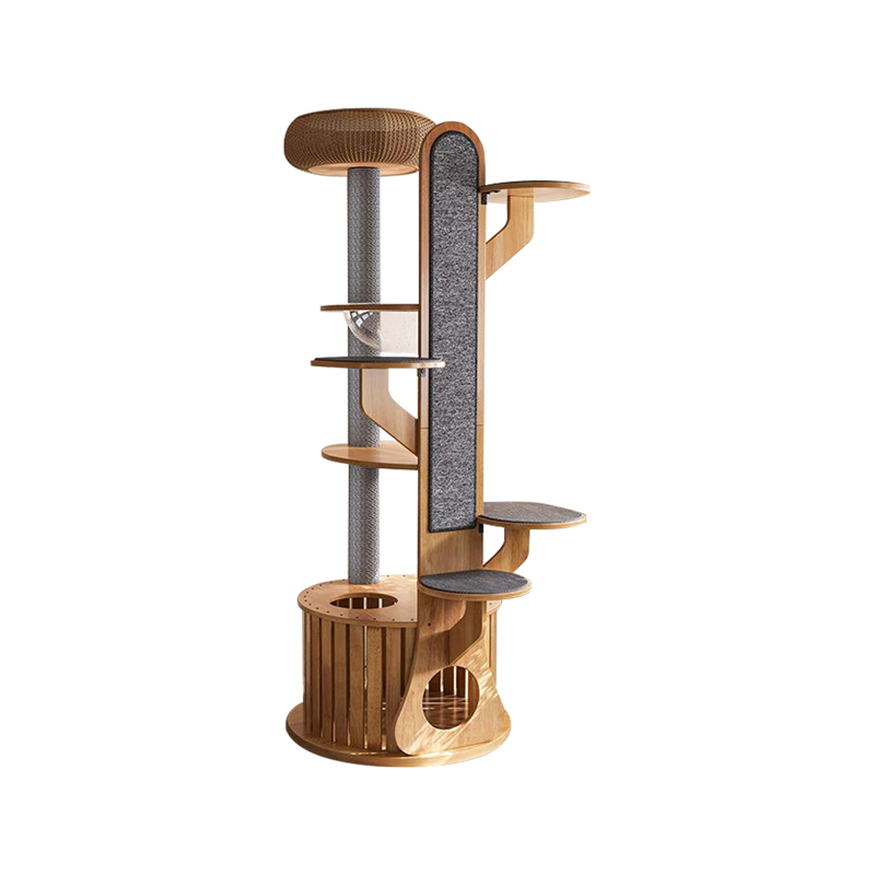 Kaktus oblik drveta penjački okvir Čvrsto stablo mačke s svemirskom kapsulom Kaktus oblik drveta penjački okvir Čvrsto stablo mačke s svemirskom kapsulom